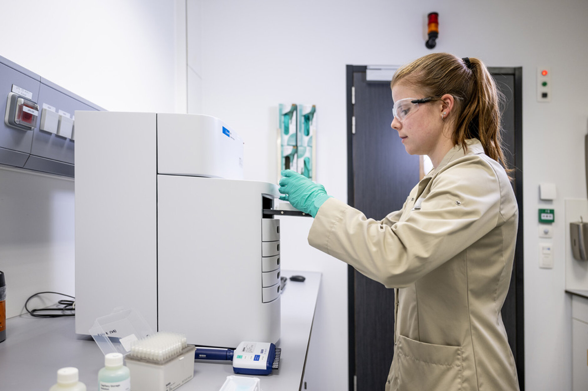 Purity testing strategies for monoclonal antibodies